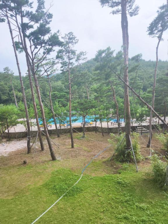 Sokcho Daemyung Heidi Pension Exterior photo